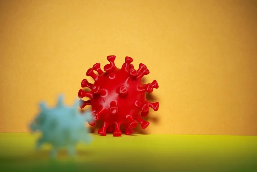 
                                                                                            Virus H5N1 : la menace des oiseaux pour les humains
                                            