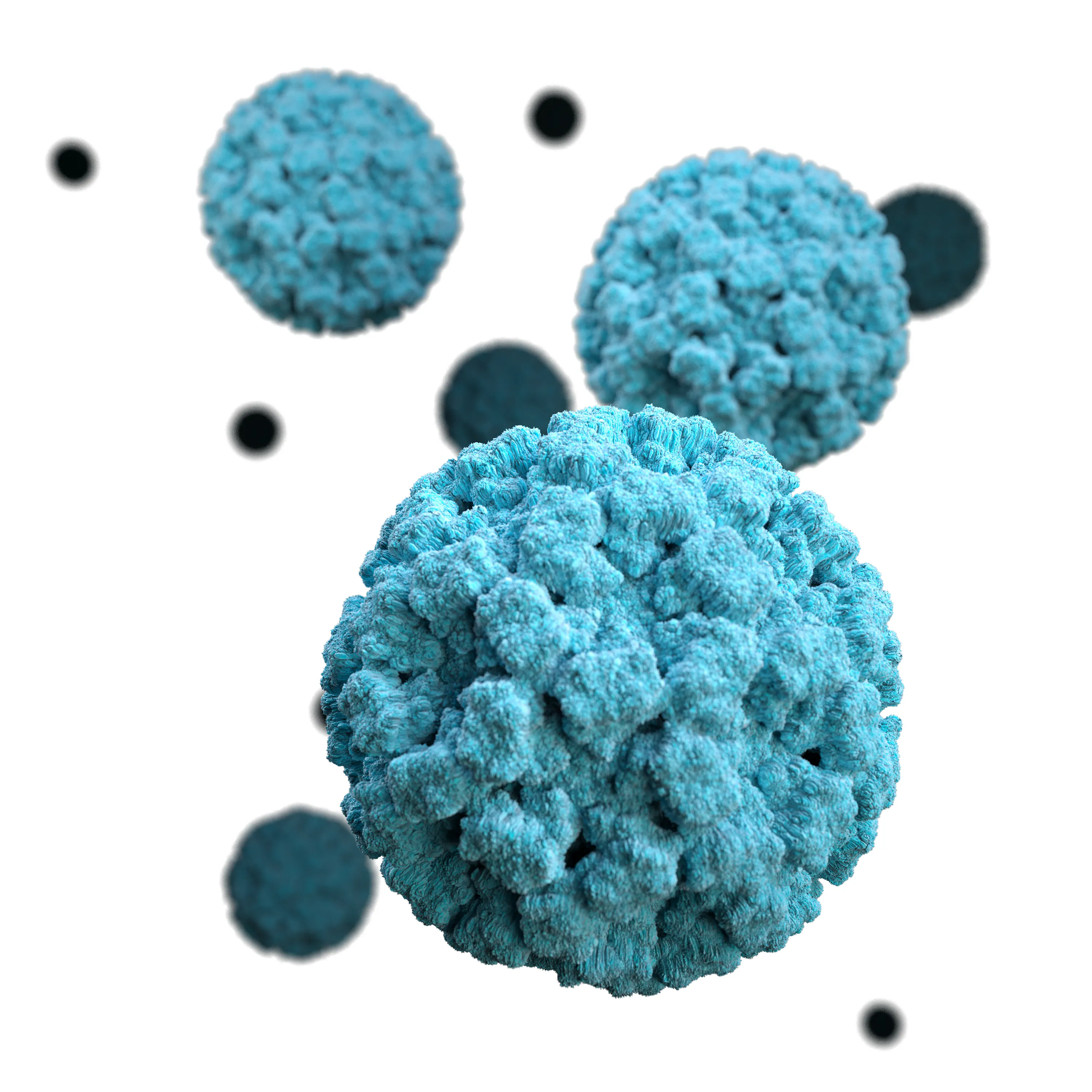 
                                                                                            Qu’est-ce que le norovirus ?
                                            